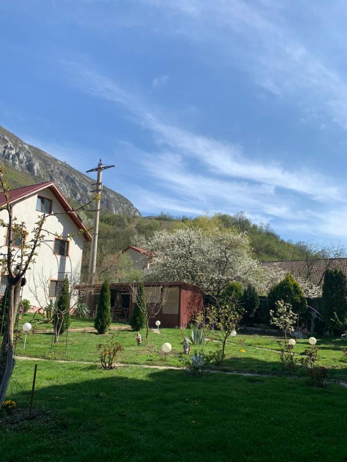 Pension Rouademunte Băile Herculane Exterior foto