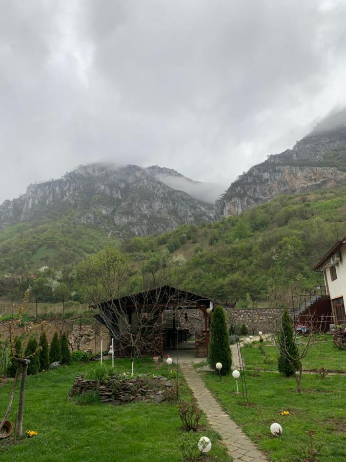 Pension Rouademunte Băile Herculane Exterior foto