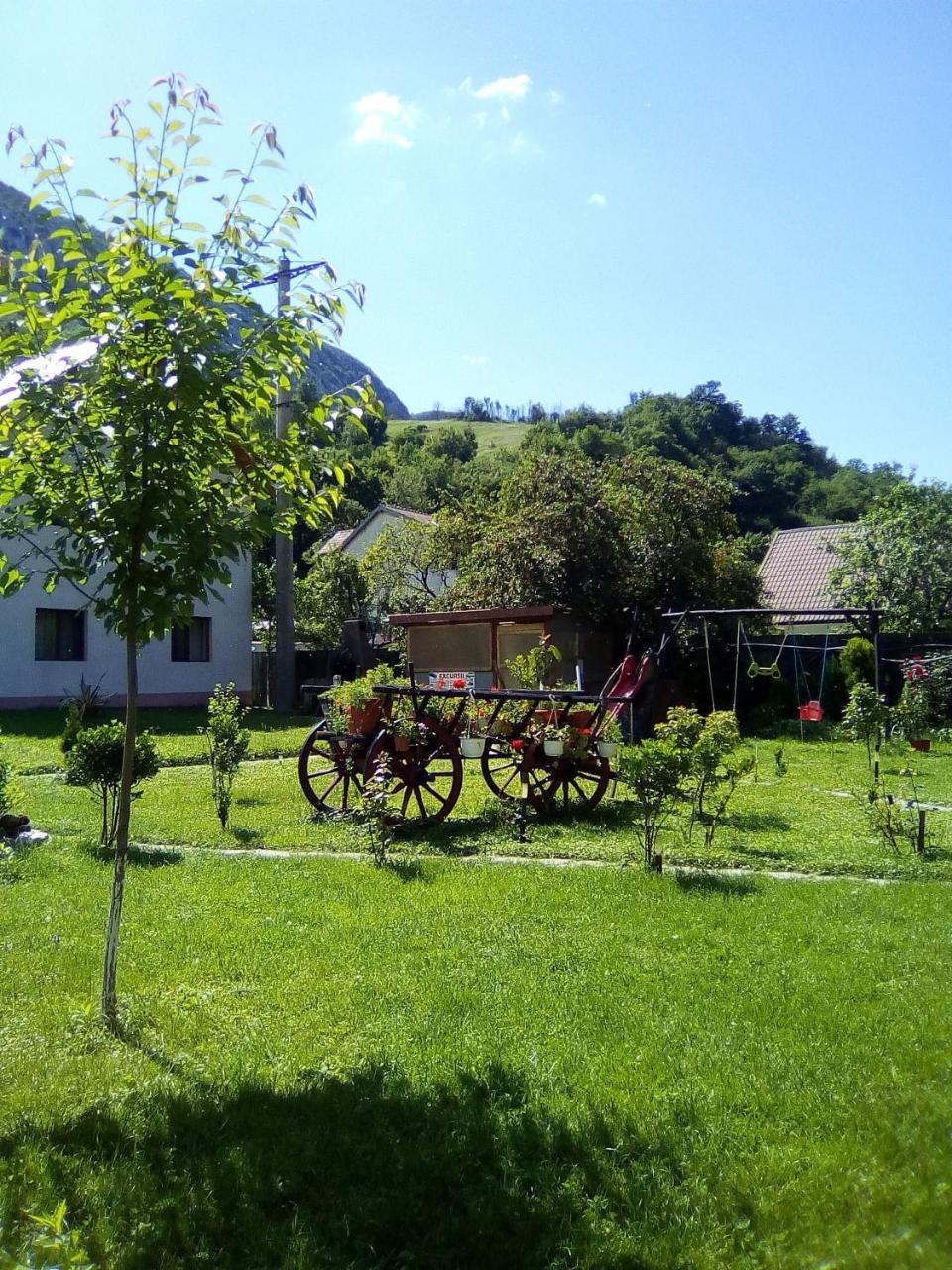 Pension Rouademunte Băile Herculane Exterior foto