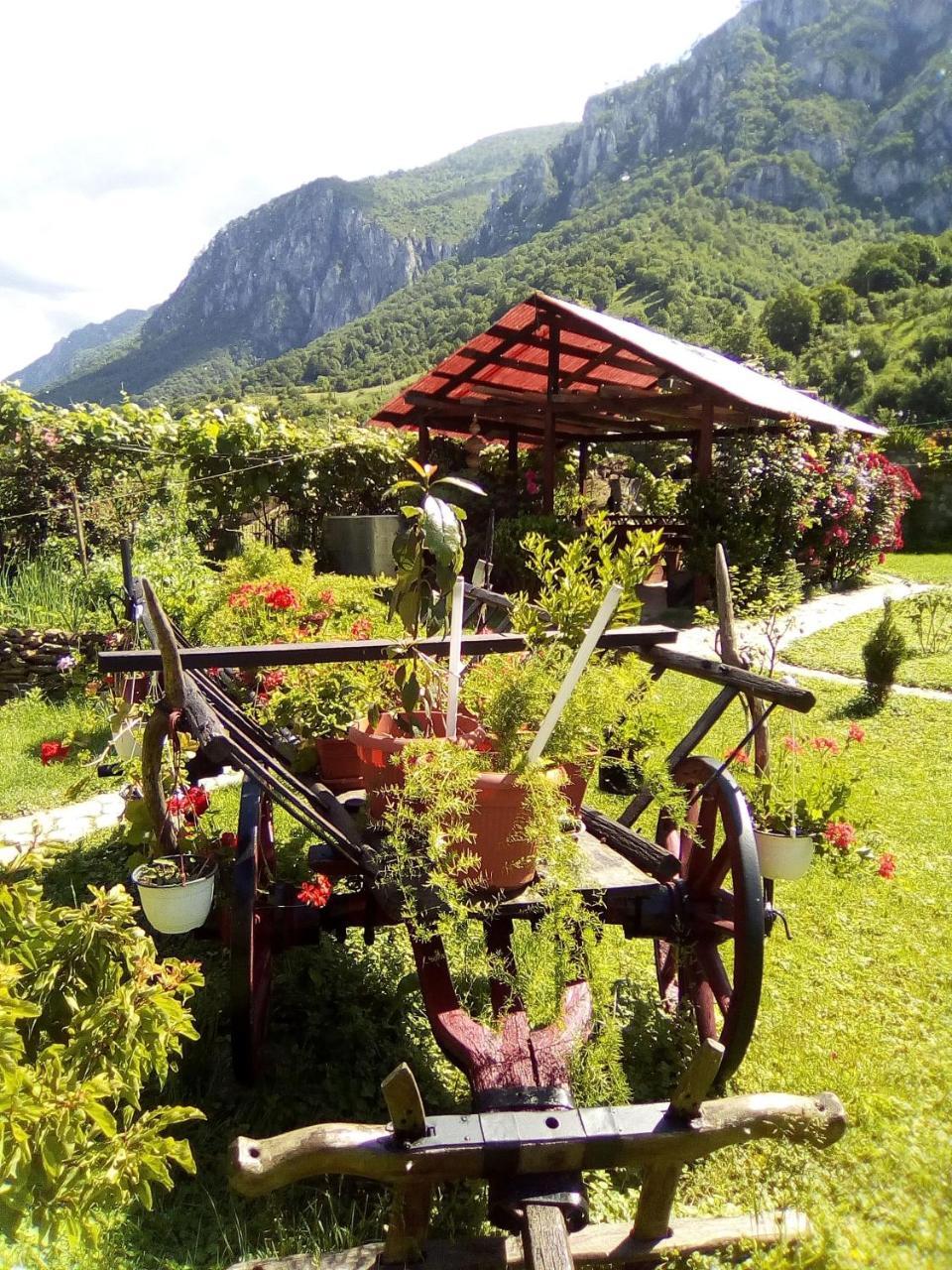 Pension Rouademunte Băile Herculane Exterior foto